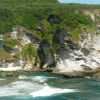 Bird Island